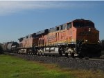 BNSF 7329 West